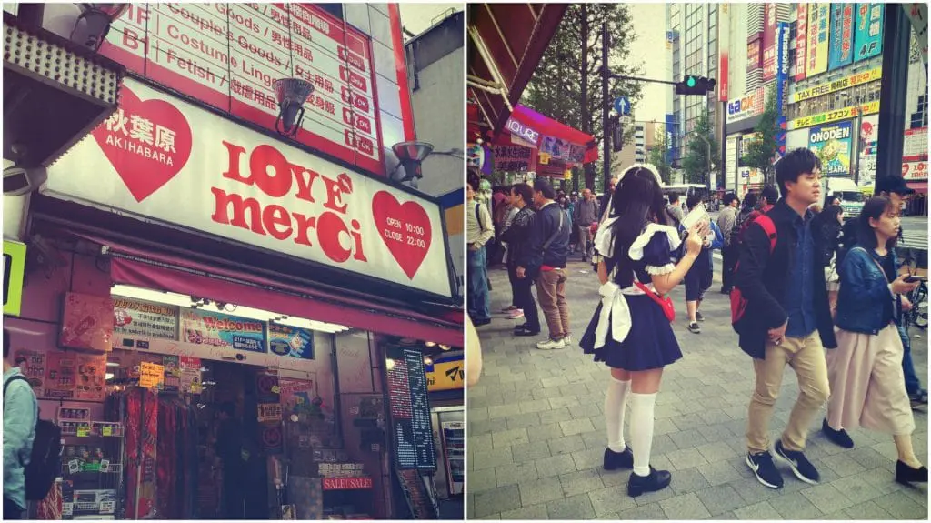 akihabara maid cafe japonia