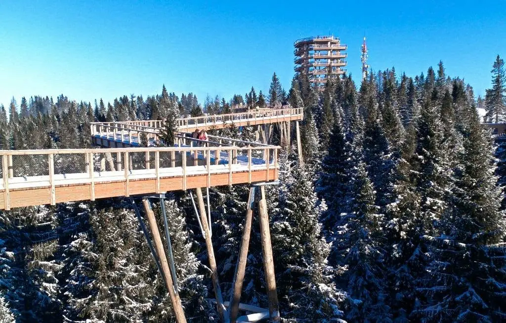 trasa ścieżka w koronach drzew słowacja chodnik bachledka