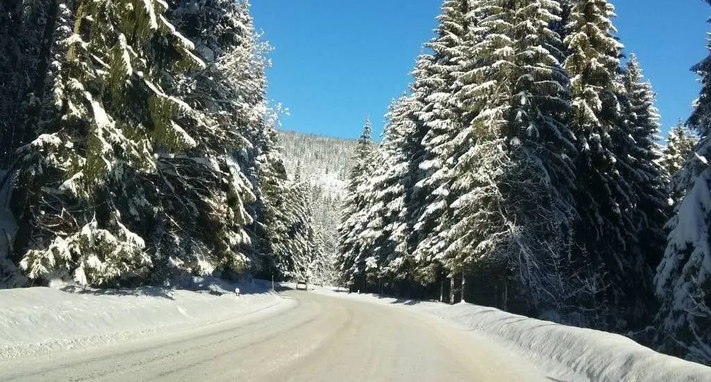bachledka słowcja chodnik bachledka ścieżka w koronach drzew