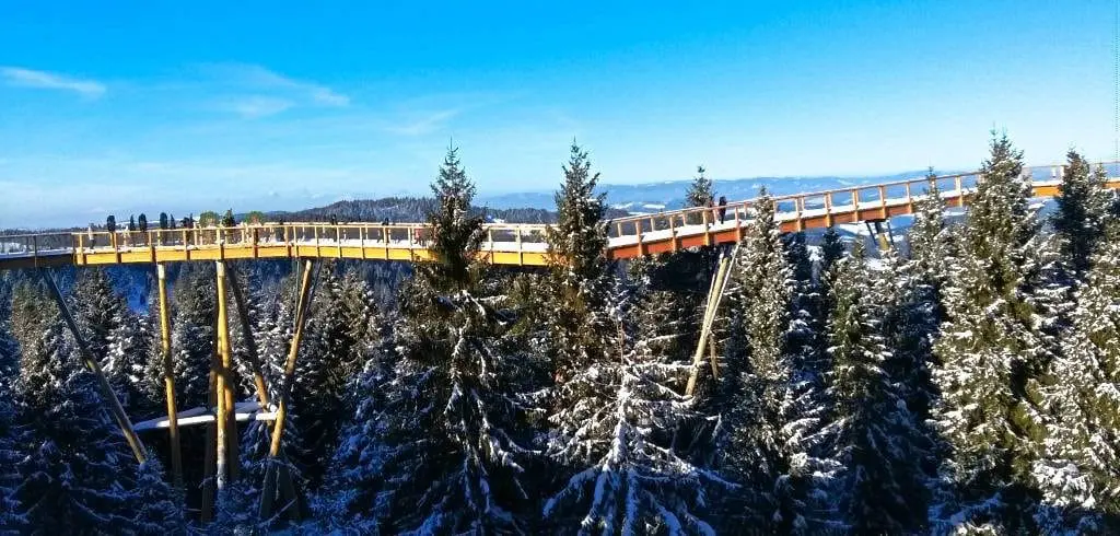 trasa ścieżka w koronach drzew słowacja chodnik bachledka