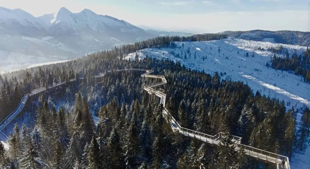 trasa ścieżka w koronach drzew słowacja chodnik bachledka