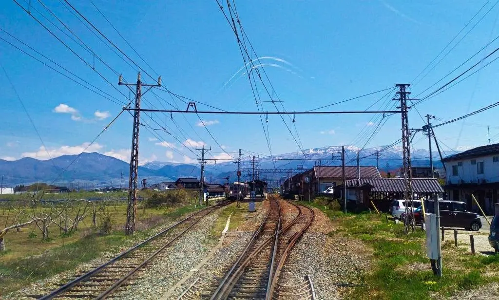 śnieżne małpy nagano gorące kąpiele makaki japońskie kąpią się w gorących źródłach