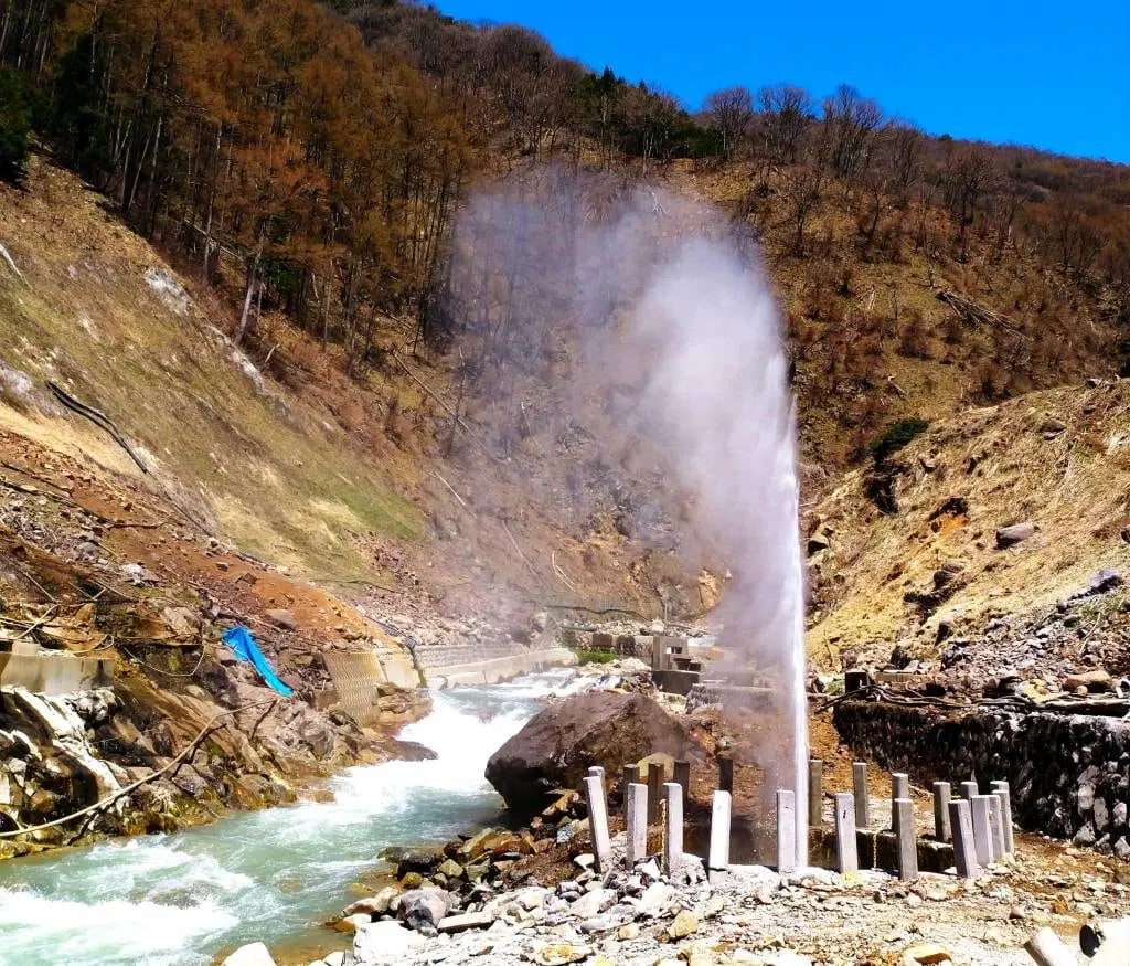 Nagano Snow Monkey Park