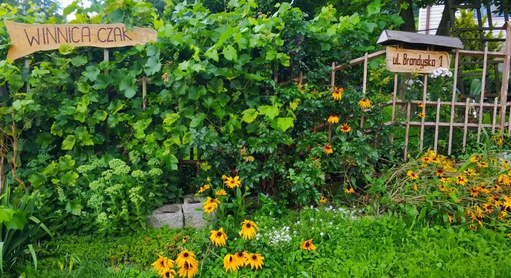 Drezyny małopolska. Atrakcje dla rodzin z dziećmi. Atrakcje dla dzieci w małopolsce. Małopolska na weekend. Co robić w Małopolsce z dzieckiem