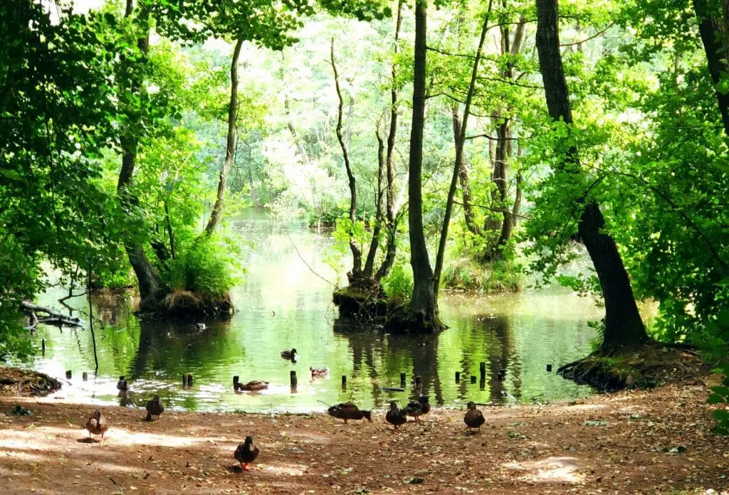 Tomaszów Mazowiecki atrakcje turystyczne. Co zwiedzać w Tomaszowie Mazowieckim