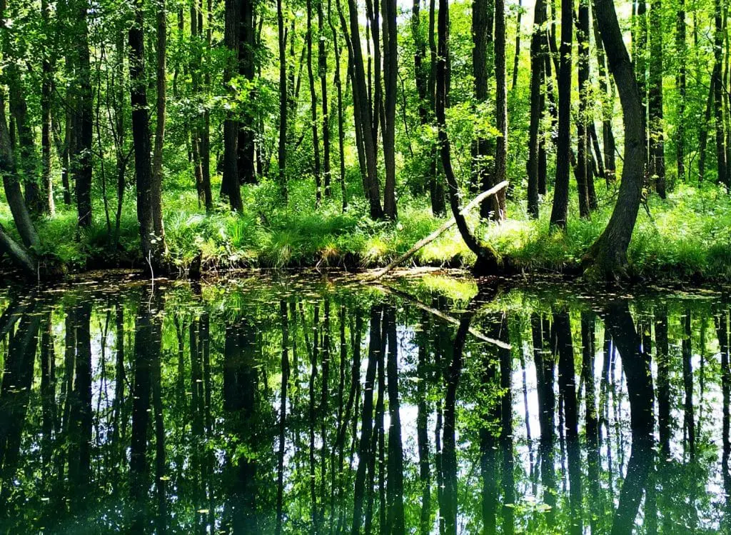 Tomaszów Mazowiecki atrakcje turystyczne. Co zwiedzać w Tomaszowie Mazowieckim