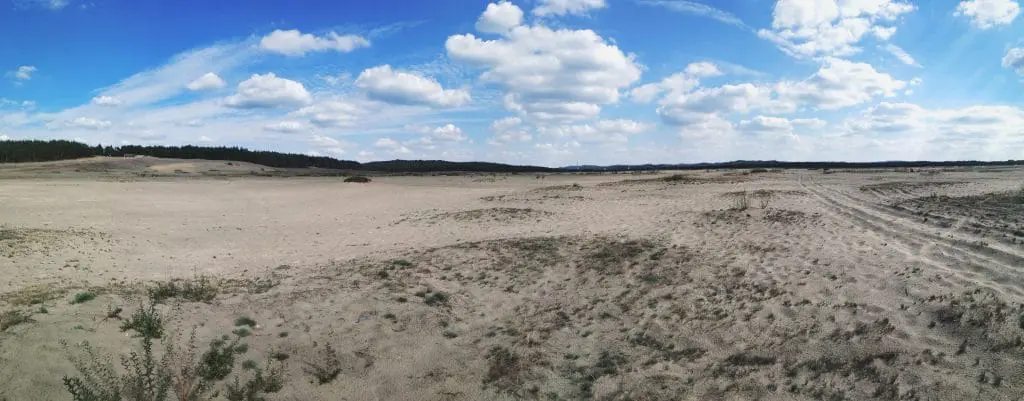 Pustynia Błędowska zwiedzanie. Darmowe atrakcje małopolski. Okolice Krakowa turystyka