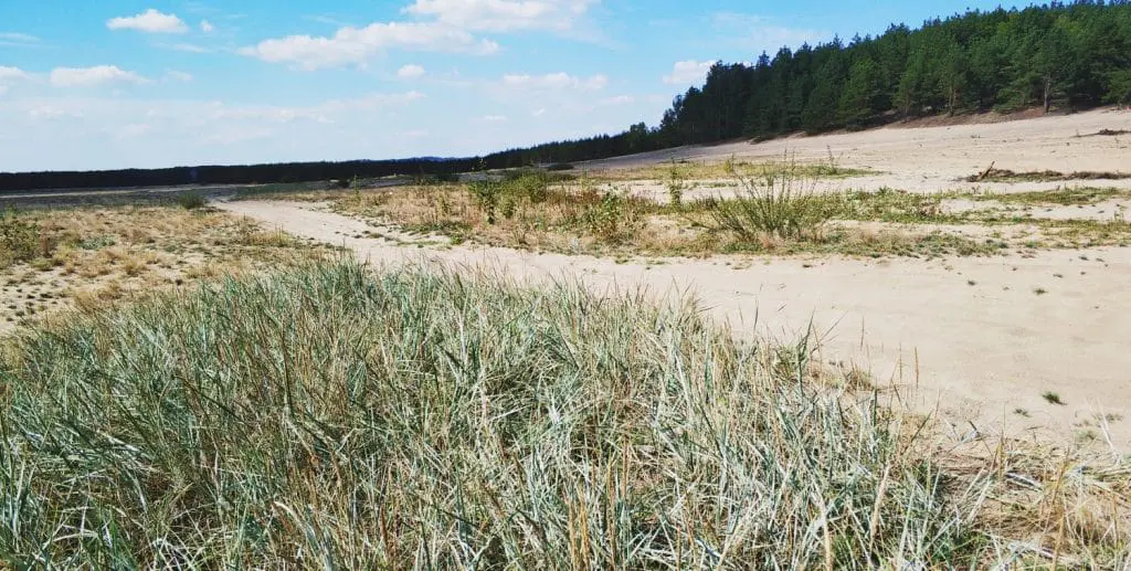 Pustynia Błędowska zwiedzanie. Darmowe atrakcje małopolski. Okolice Krakowa turystyka