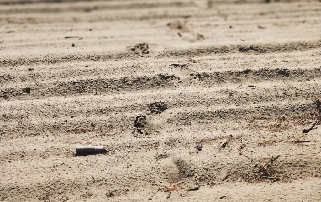 Zwiedzanie Pustyni Błędowskiej. Pustynia Błędowska punkt widokowy. Darmowe atrakcje małopolski