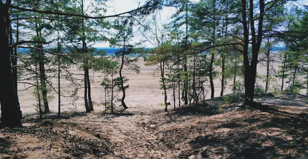 Pustynia Błędowska zwiedzanie. Darmowe atrakcje małopolski. Okolice Krakowa turystyka