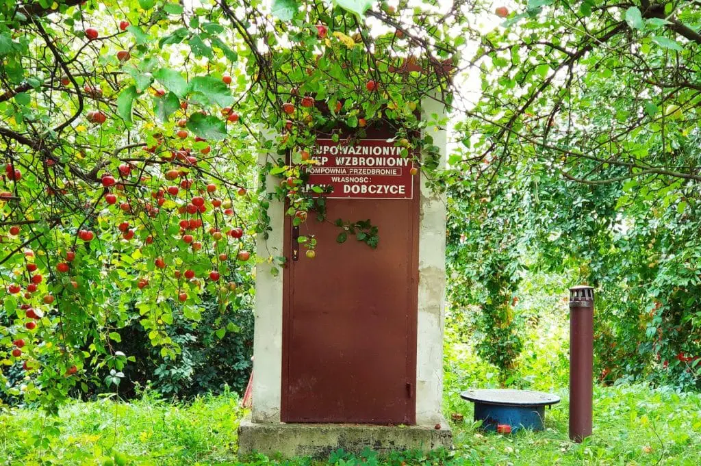 Dobczyce. Zwiedzamy okolice Krakowa. Jednodniowa wycieczka z Krakowa. Atrakcje w Dobczycach. Zabytki Dobczyc