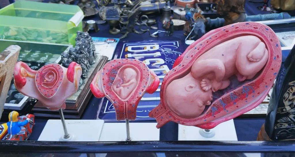 Girona informacje praktyczne