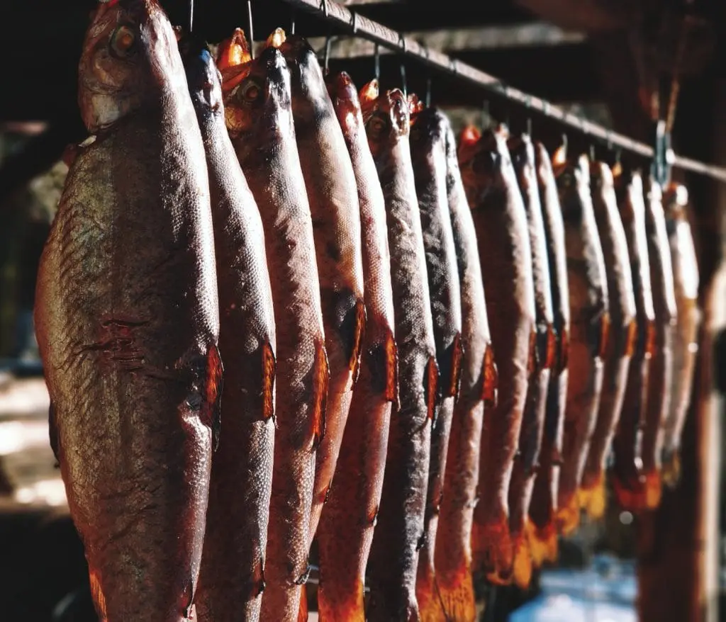 Ojcowski Park Narodowy zimą. Szlaki w ojcowie. Jednodniowe wycieczki w okolice Krakowa