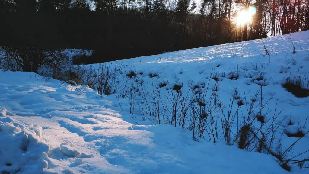 Ojcowski Park Narodowy zimą. Szlaki w ojcowie. Jednodniowe wycieczki w okolice Krakowa