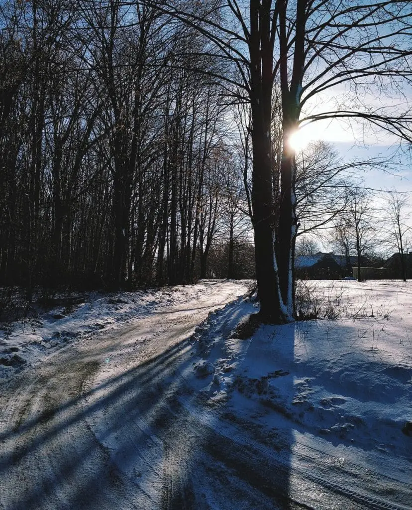 Ojcowski Park Narodowy zimą. Szlaki w ojcowie. Jednodniowe wycieczki w okolice Krakowa