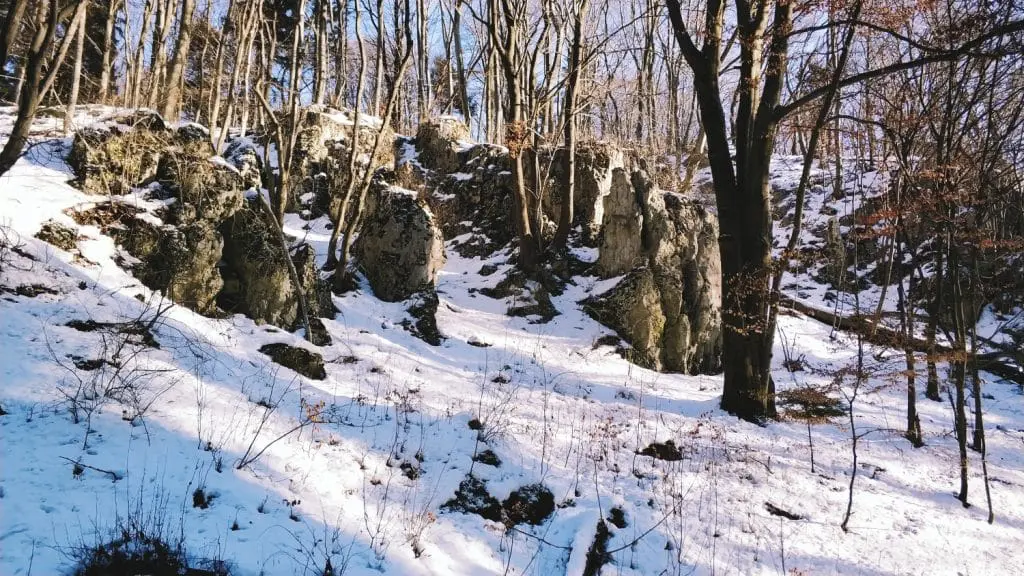 Ojcowski Park Narodowy zimą. Szlaki w ojcowie. Jednodniowe wycieczki w okolice Krakowa