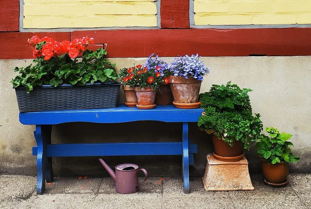 Zwiedzanie Ystad. Co robić w Ystad. Co warto zobaczyć w Skanii. Atrakcje turystyczne Ystad. Architektura szachulcowa Szwecja.