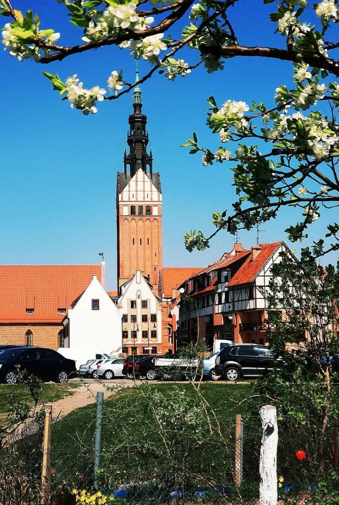Katedra św. Mikołaja Elbląg