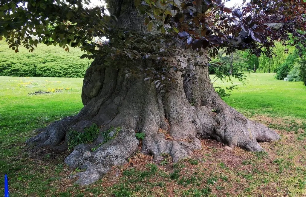 Park Mużakowski. Muskauerer Park