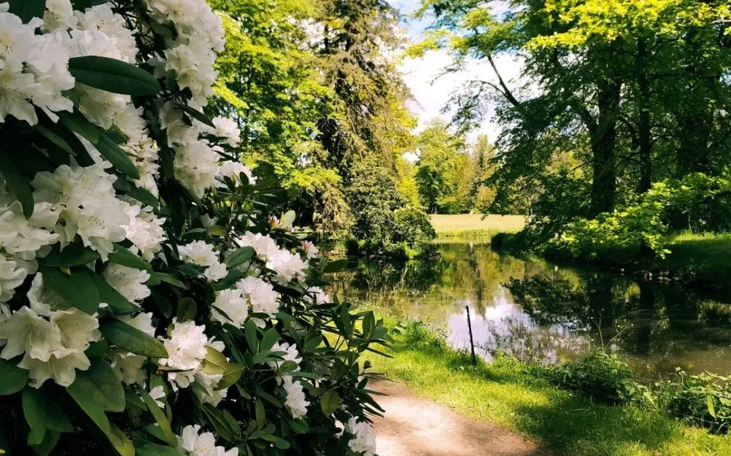 Park Mużakowski. Muskauerer Park