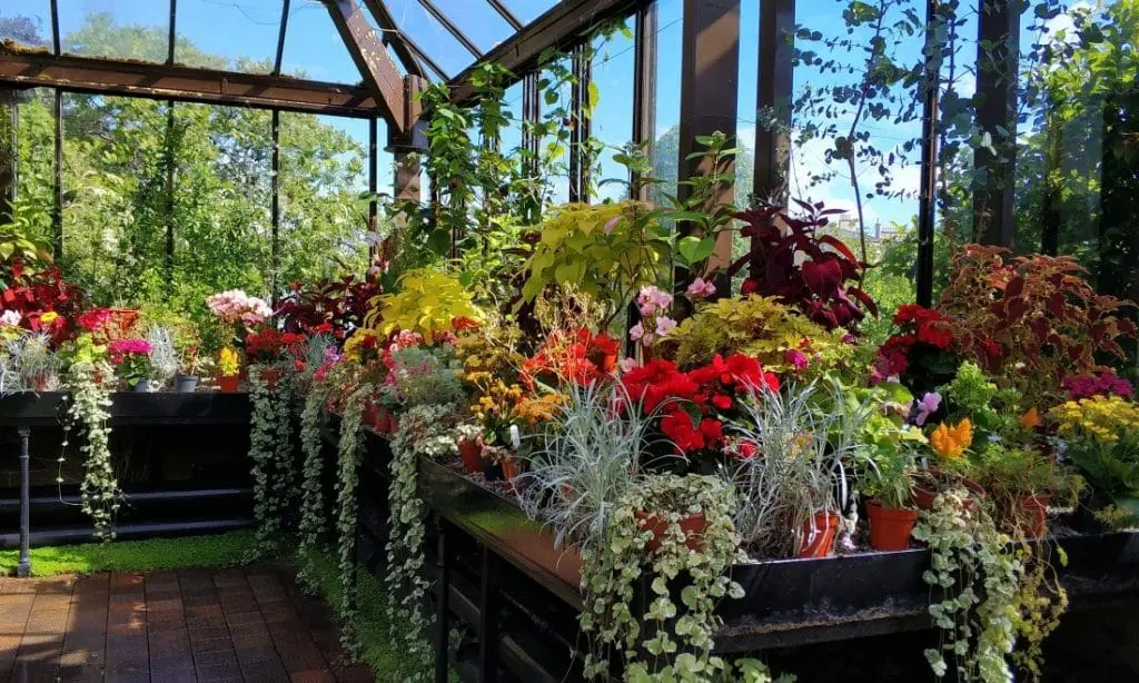 atrakcje w Glasgow. Ogród botaniczny Szkocja