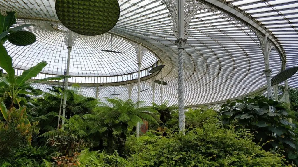 atrakcje w Glasgow. Ogród botaniczny Szkocja
