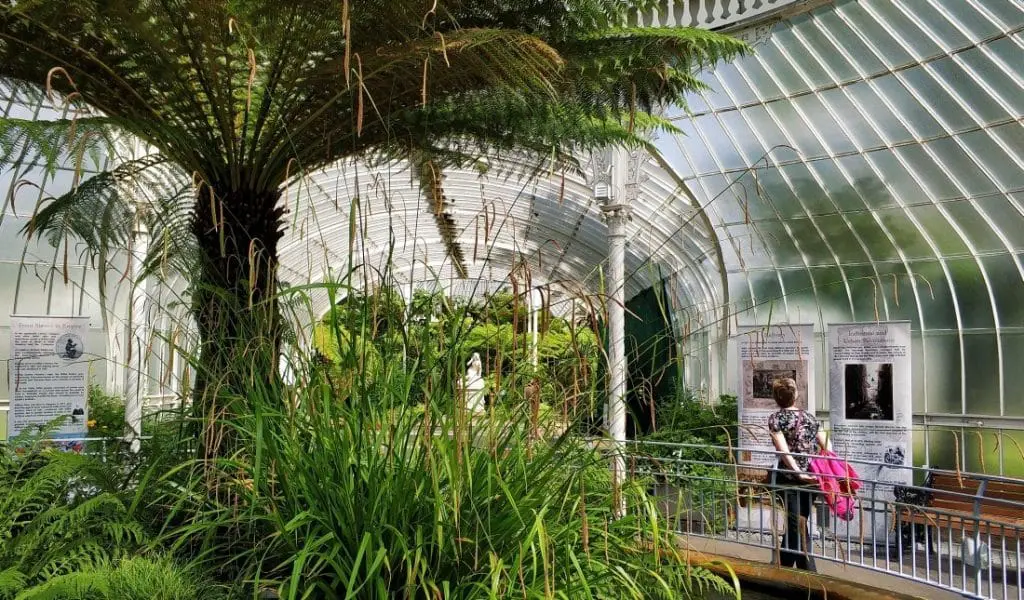 atrakcje w Glasgow. Ogród botaniczny Szkocja