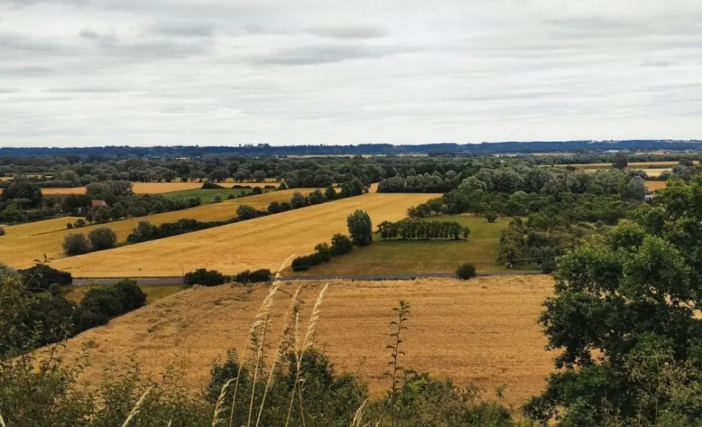 Grodzisko Talerzyk. Topolin. Dolina Dolnej Wisły