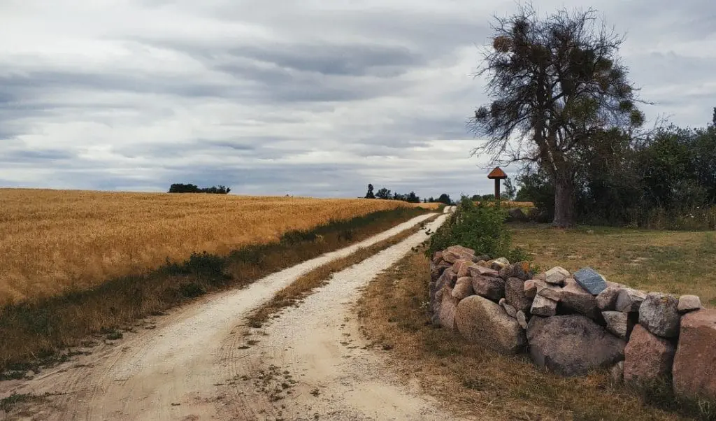 Winnica przy Talerzyku