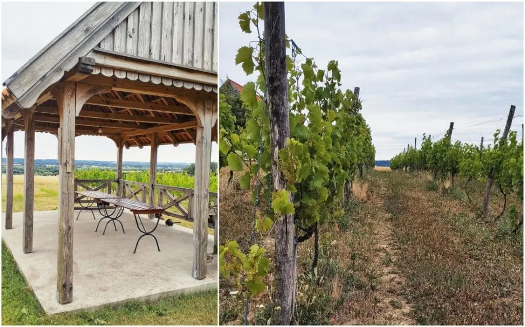 Winnica przy Talerzyku