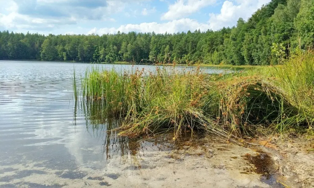 Pojezierze Iławskie. Jezioro Jasne. Jezioro Czyste