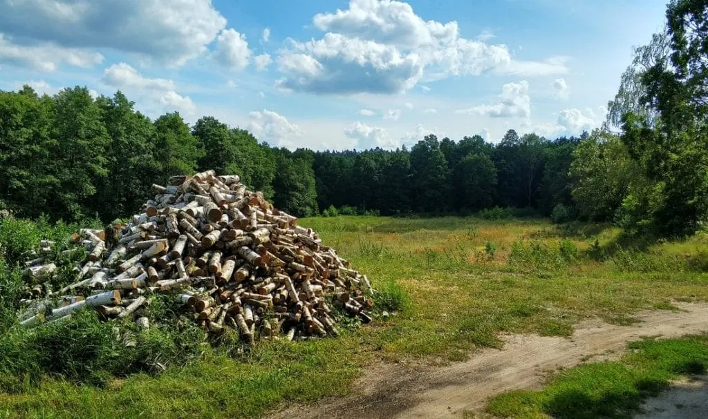 Jerzwałd. Dom Zbigniewa Nienackiego. Jezioro Płaskie