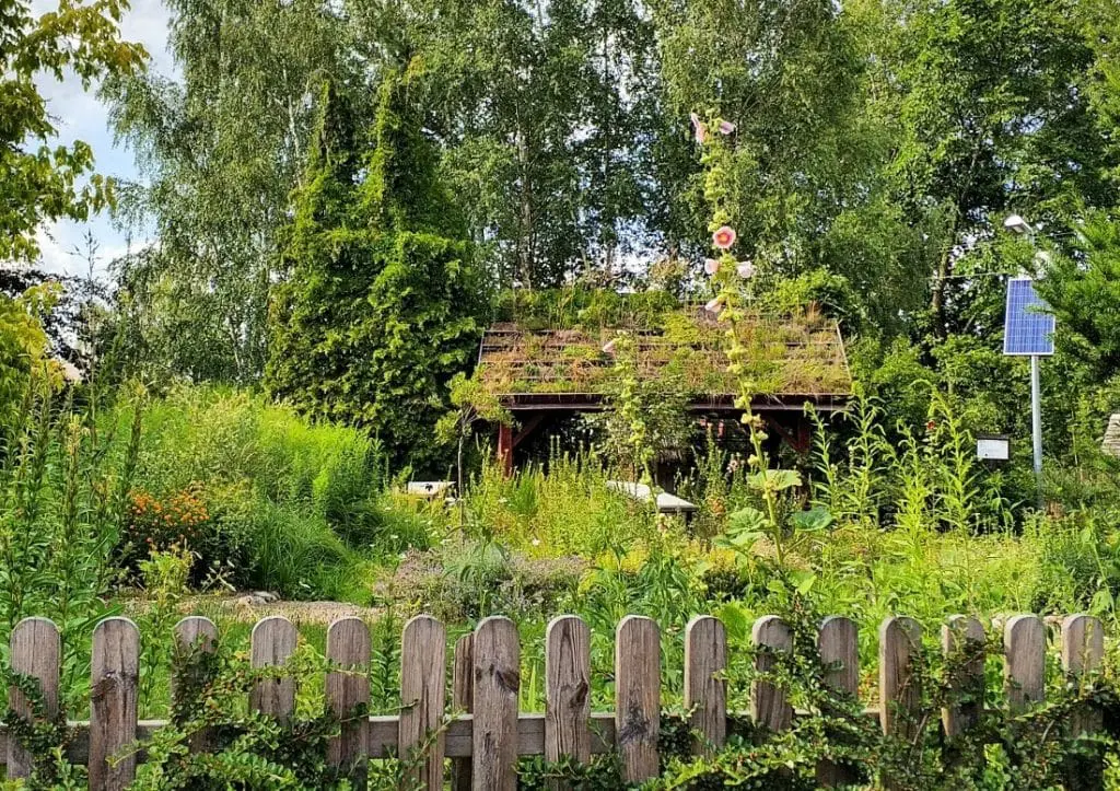 Park Krajobrazowy Pojezierza Iławskiego. Jerzwałd