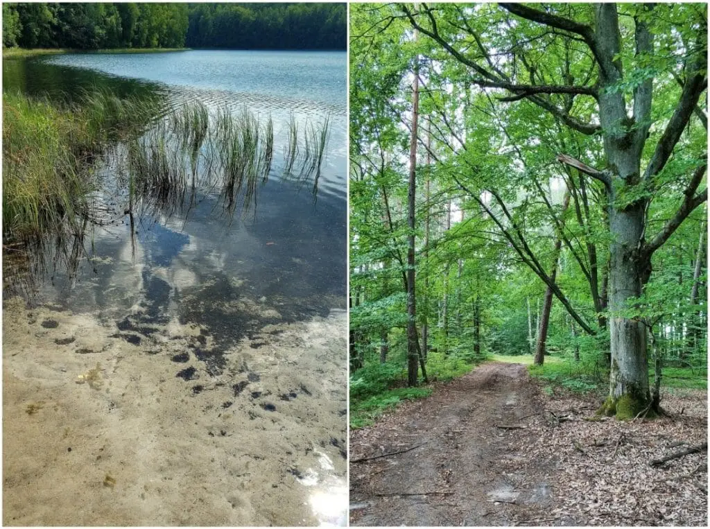 Pojezierze Iławskie. Jezioro Jasne. Jezioro Czyste