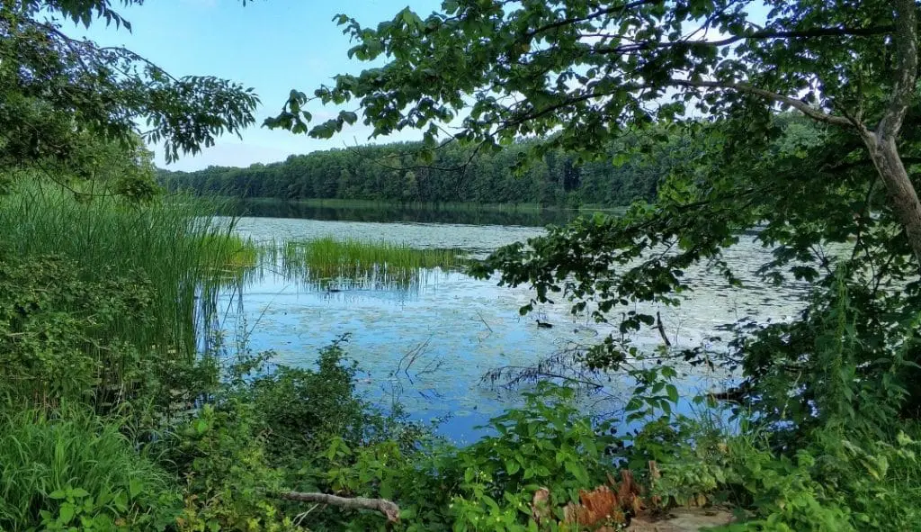 Kraina Kanału Elbląskiego. Stary port w Czulpie. Czulpa. Jezioro Ruda Woda. Georg Jacob Steenke