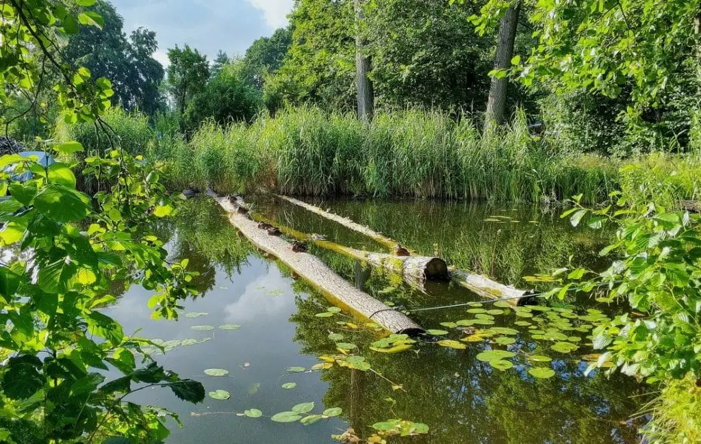 Kraina Kanału Elbląskiego. Stary port w Czulpie. Czulpa. Jezioro Ruda Woda. Georg Jacob Steenke