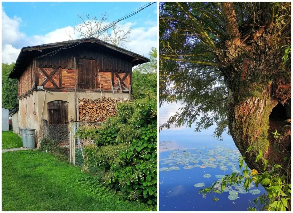 Kraina Kanału Elbląskiego. Stary port w Czulpie. Czulpa. Jezioro Ruda Woda. Georg Jacob Steenke