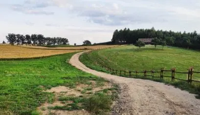 ziemia lubawska. Co robić w okolicach Nowego Miasta Lubawskiego. Trzcin. Welski Park Krajobrazowy