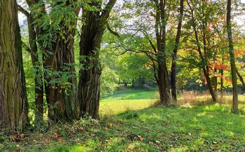 Kraków Swoszowice | Uzdrowisko, park zdrojowy i Muzeum Spraw Wojskowych