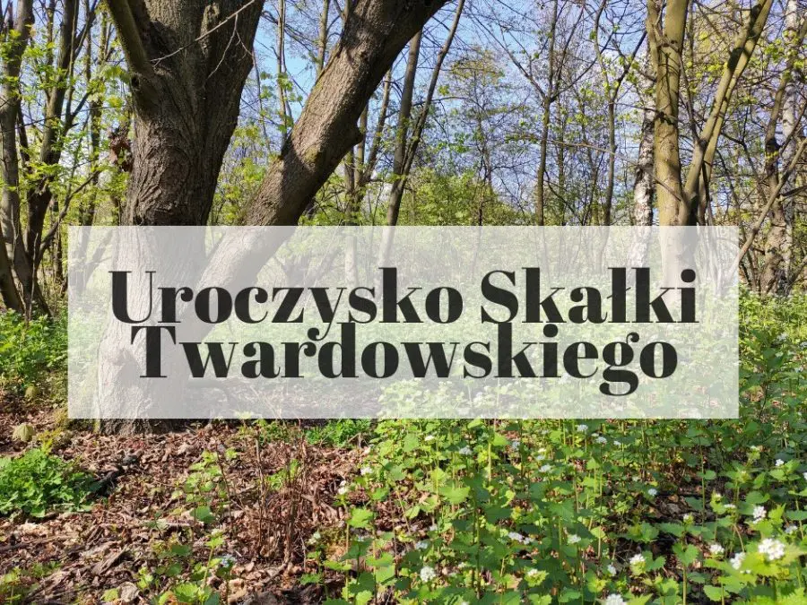 Skałki Twardowskiego w Krakowie, czyli mikroprzygoda w wielkim mieście