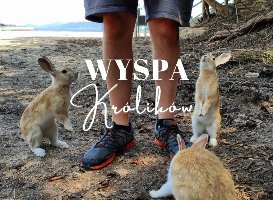 Wyspa Królików Okunoshima – japońska odpowiedź na “make love, not war”