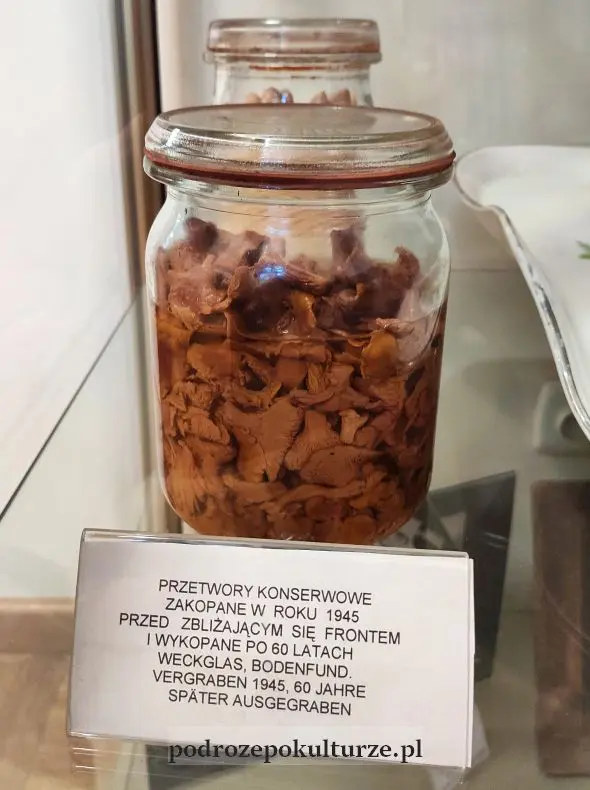 grzybki Eriki Steinbach