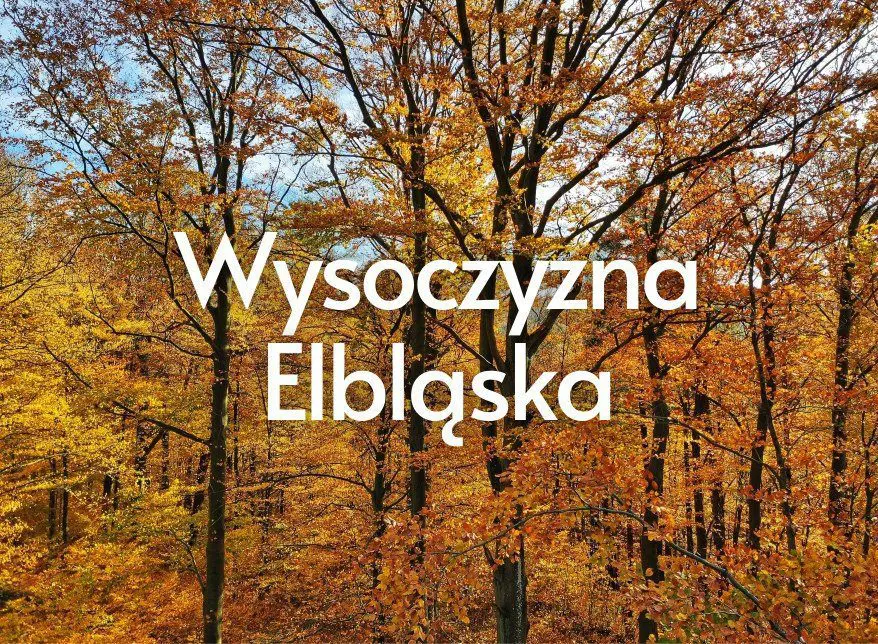 Wysoczyzna Elbląska – prawie jak w górach, trochę jak nad morzem