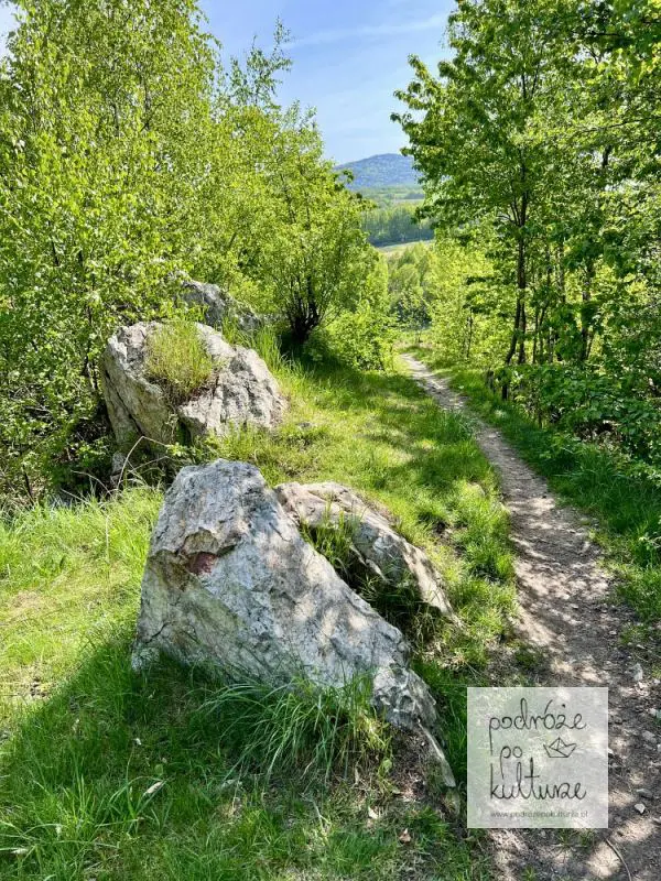 Wymyślona