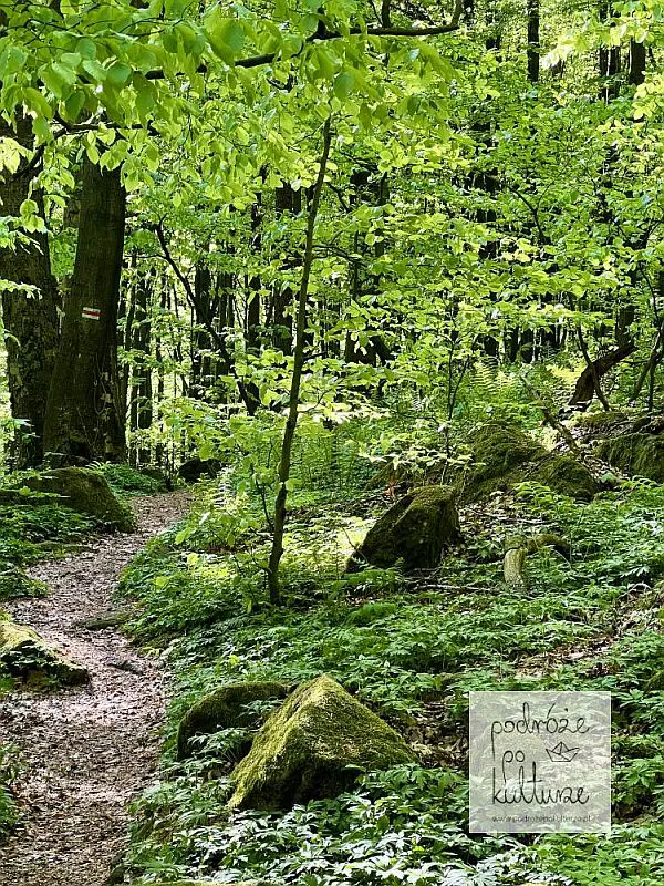 Suchedniowsko-Oblęgorski Park Krajobrazowy