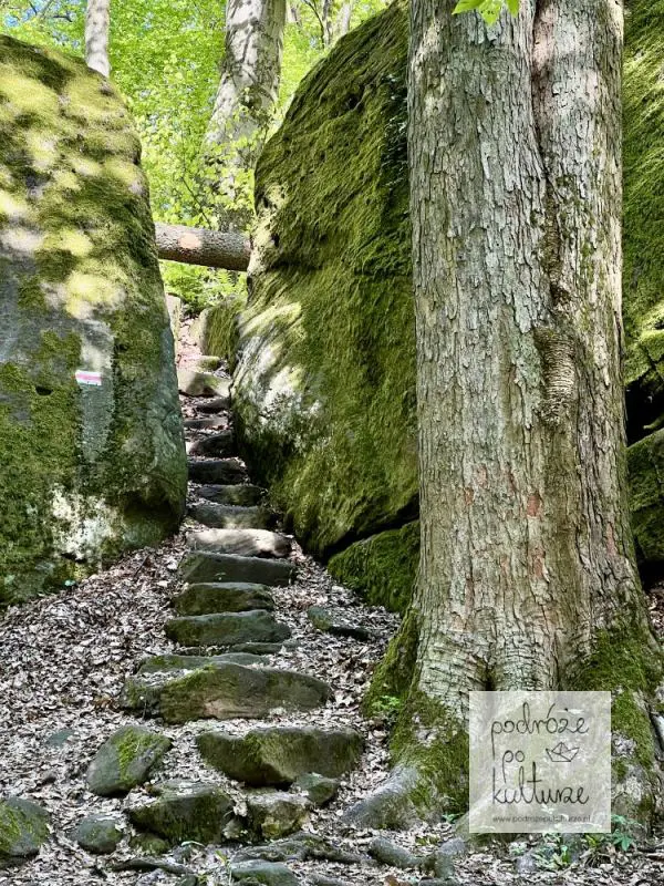 Rezerwat Perzowa Góra