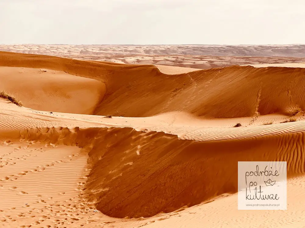 Wahiba Sands Oman wydma