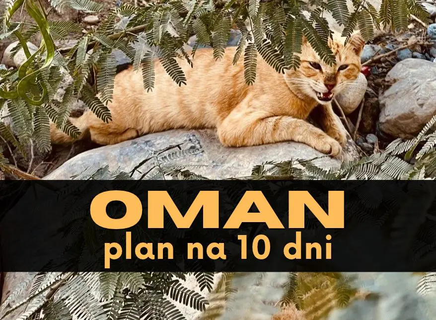 Oman: Pojechałam z ciekawości. Wróciłam zachwycona. Oto co zobaczyłam w 10 dni!