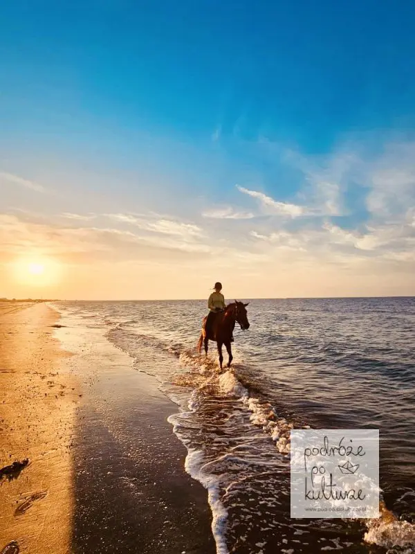 Oman jazda konna na plaży