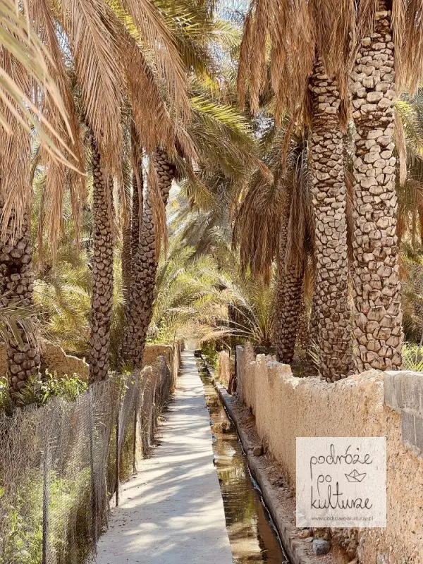 Oman Al Hamra faladże